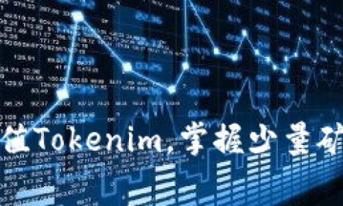 如何轻松充值Tokenim，掌握少量矿工费的技巧
