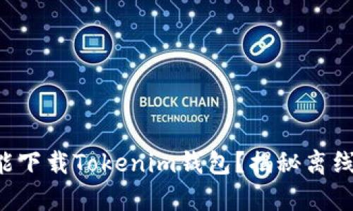 没有网络也能下载Tokenim钱包？揭秘离线下载的秘诀！