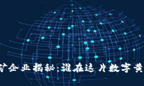 河北虚拟币挖矿企业揭秘：谁在这片数字黄金之地中掘金?