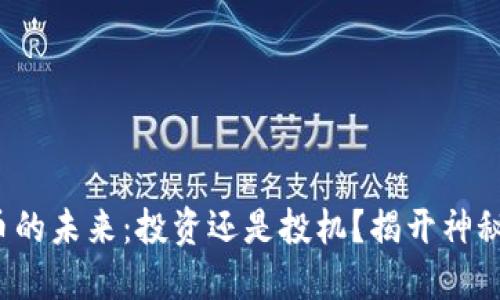 【虚拟币的未来：投资还是投机？揭开神秘面纱！】