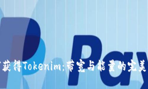 如何获得Tokenim：带宽与能量的完美攻略