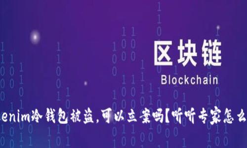 Tokenim冷钱包被盗，可以立案吗？听听专家怎么说！