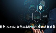 揭开Tokenim的神秘面纱：如何实现高效映射？