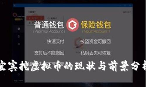 宜宾挖虚拟币的现状与前景分析