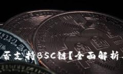 Tokenim是否支持BSC链？全面解析与应用场景