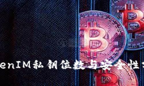 TokenIM私钥位数与安全性分析