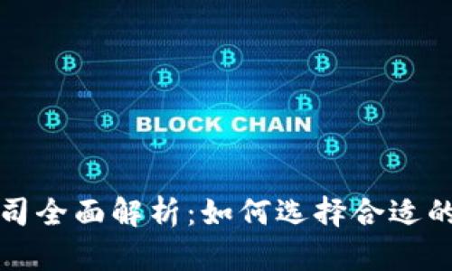 虚拟币公司全面解析：如何选择合适的投资机会