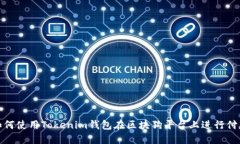 如何使用Tokenim钱包在区块狗平台上进行付款