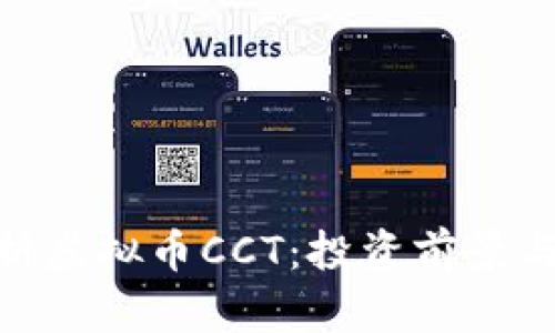 : 深入解析虚拟币CCT：投资前景与市场趋势