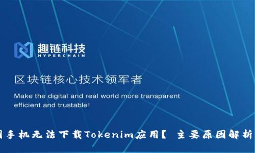 为什么中国手机无法下载Tokenim应用？ 主要原因解析与解决方案