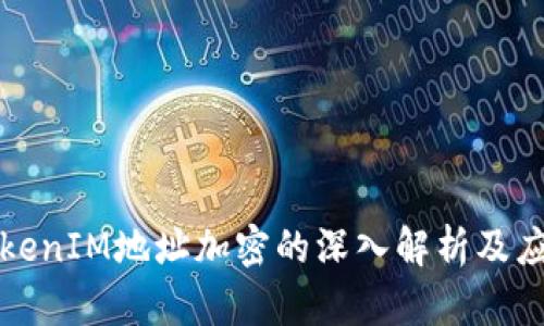 TokenIM地址加密的深入解析及应用