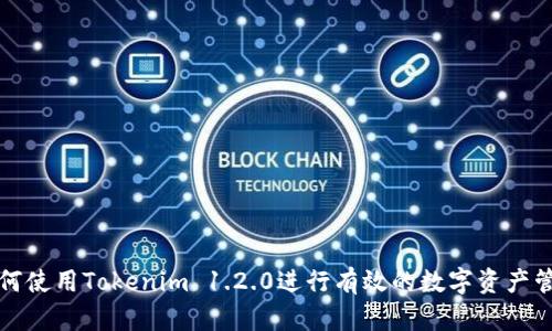 如何使用Tokenim 1.2.0进行有效的数字资产管理