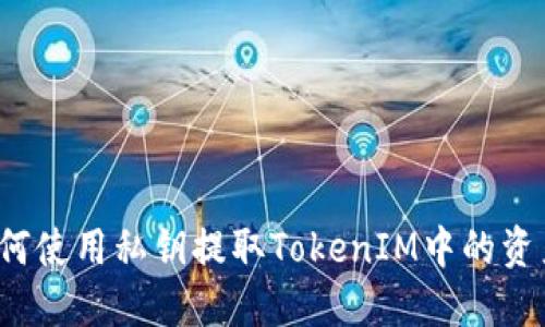 如何使用私钥提取TokenIM中的资产?
