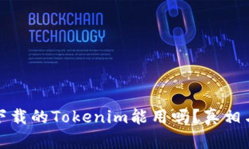 : 非官方下载的Tokenim能用吗？真相与风险解析