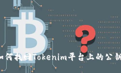 如何找回Tokenim平台上的公钥？