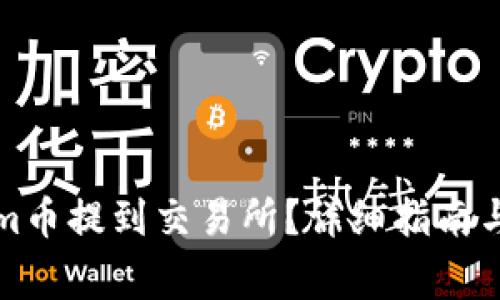 如何将Tokenim币提到交易所？详细指南与常见问题解答