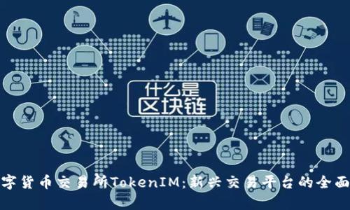 : 数字货币交易所TokenIM：新兴交易平台的全面解析