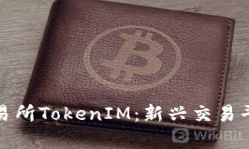 : 数字货币交易所TokenIM：新兴交易平台的全面解析