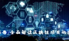 Tokenim检测报告：全面解读区块链项目的安全性和