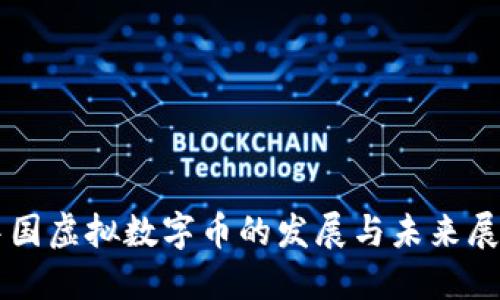 中国虚拟数字币的发展与未来展望