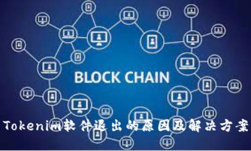 Tokenim软件退出的原因及解决方案