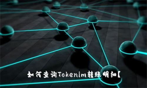如何查询Tokenim转账明细？