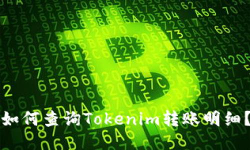 如何查询Tokenim转账明细？