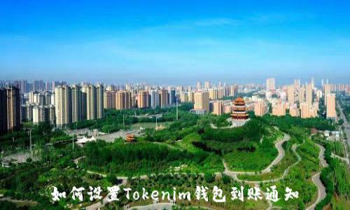   
如何设置Tokenim钱包到账通知