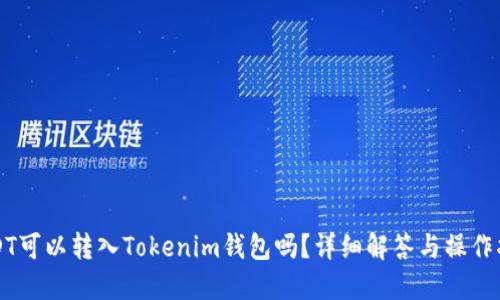 USDT可以转入Tokenim钱包吗？详细解答与操作指南
