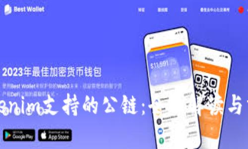 Tokenim支持的公链：全面解读与分析