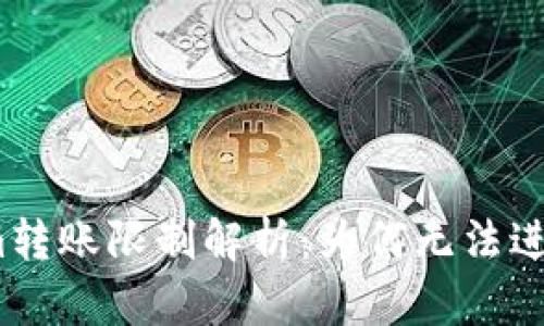 Tokenim转账限制解析：为何无法进行转账？