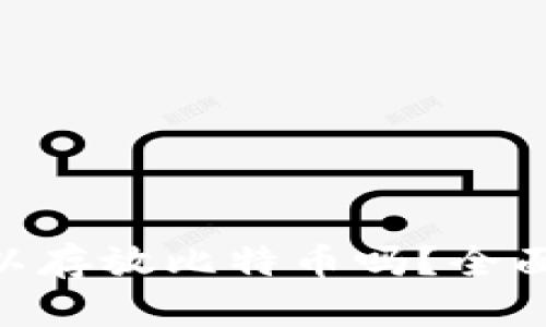 Tokenim可以存放比特币吗？全面解读与分析