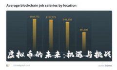 虚拟币的未来：机遇与挑战
