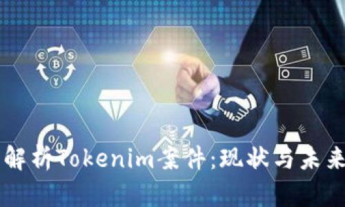 深入解析Tokenim案件：现状与未来展望