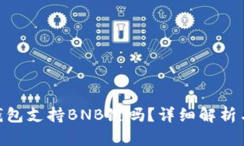 Tokenim钱包支持BNB链吗？详细解析与使用指南