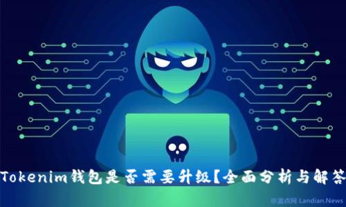 Tokenim钱包是否需要升级？全面分析与解答