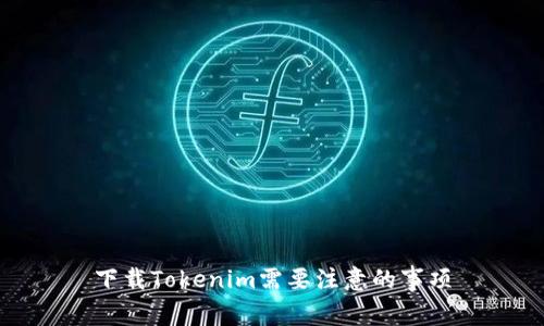 下载Tokenim需要注意的事项