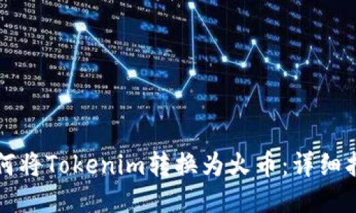 如何将Tokenim转换为火币：详细指南