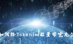 如何给Tokenim能量带宽充值