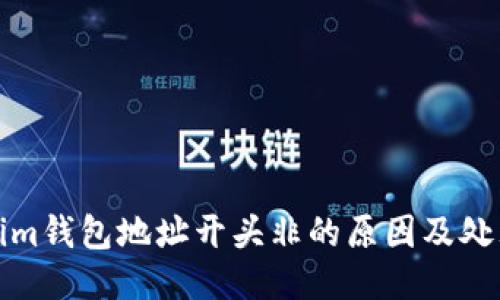 tokenim钱包地址开头非的原因及处理方法