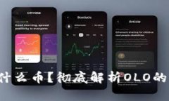 : OLO虚拟币是什么币？彻底解析OLO的未来与投资价