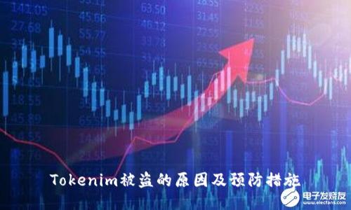 Tokenim被盗的原因及预防措施