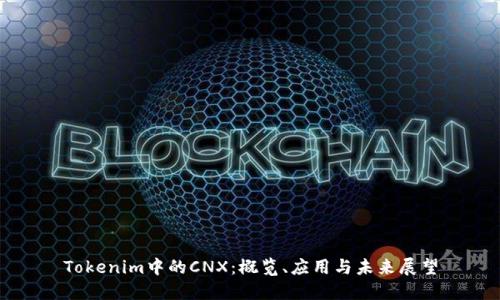Tokenim中的CNX：概览、应用与未来展望