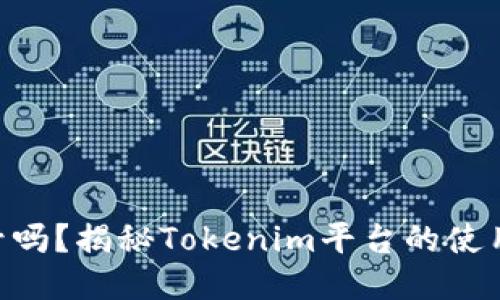 Tokenim可以封号吗？揭秘Tokenim平台的使用规则与安全机制
