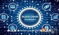 如何解决Tokenim的DOT转出问题