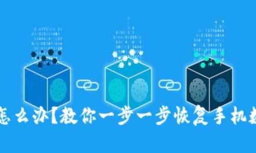 手机掉了怎么办？教你一步一步恢复手机数据与安全