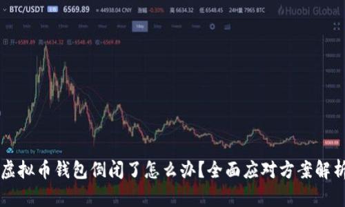 虚拟币钱包倒闭了怎么办？全面应对方案解析