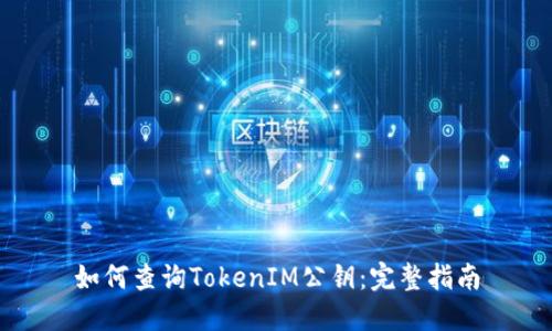 如何查询TokenIM公钥：完整指南