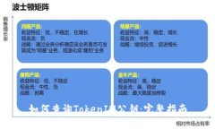如何查询TokenIM公钥：完整指南