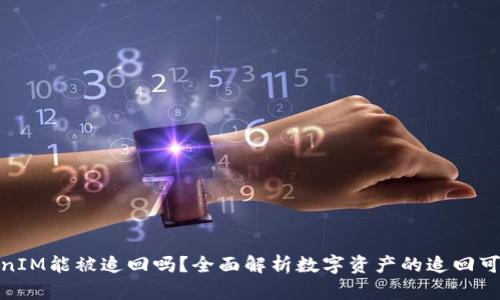 TokenIM能被追回吗？全面解析数字资产的追回可能性